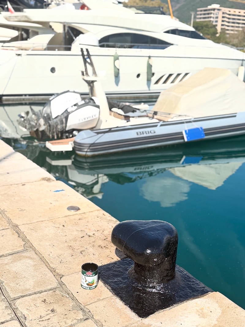 The installation of new mooring lines and rings on Pier C 